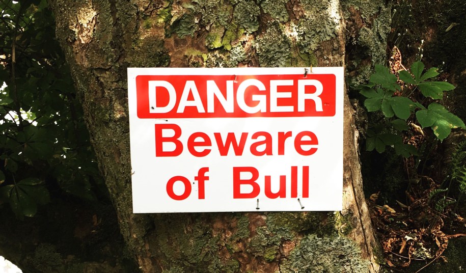 A painted sign attached to a tree reads Danger - Beware of Bull